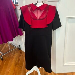 Unique red and black dress with fantastic collar